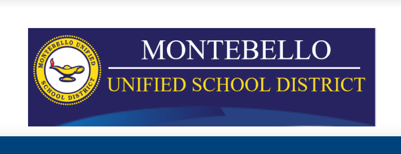 mhs logo